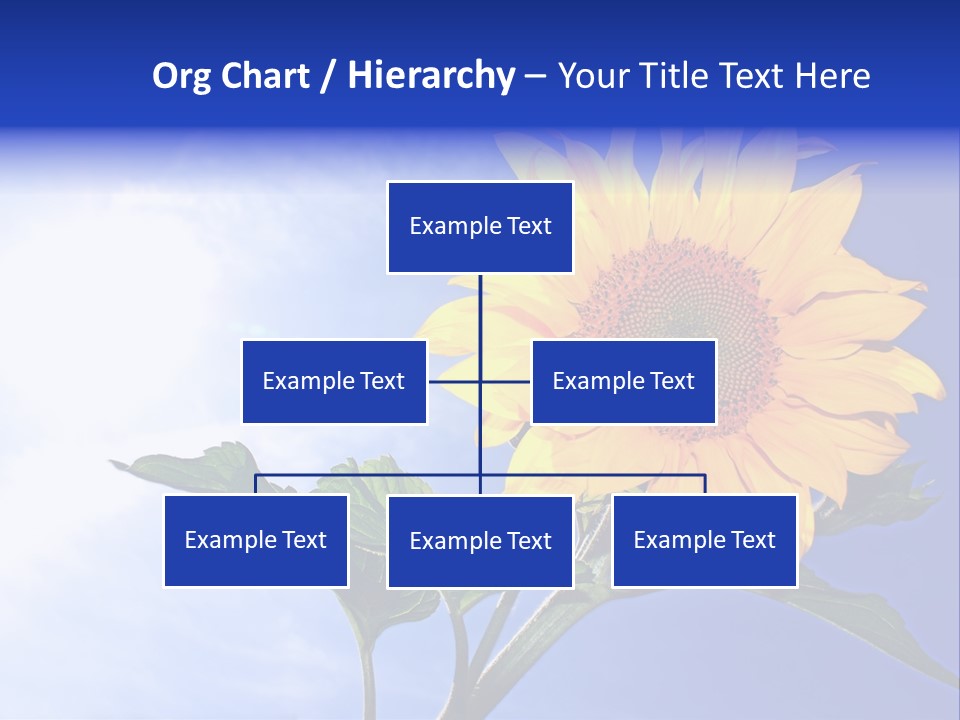 Sunflower Flower Grain PowerPoint Template