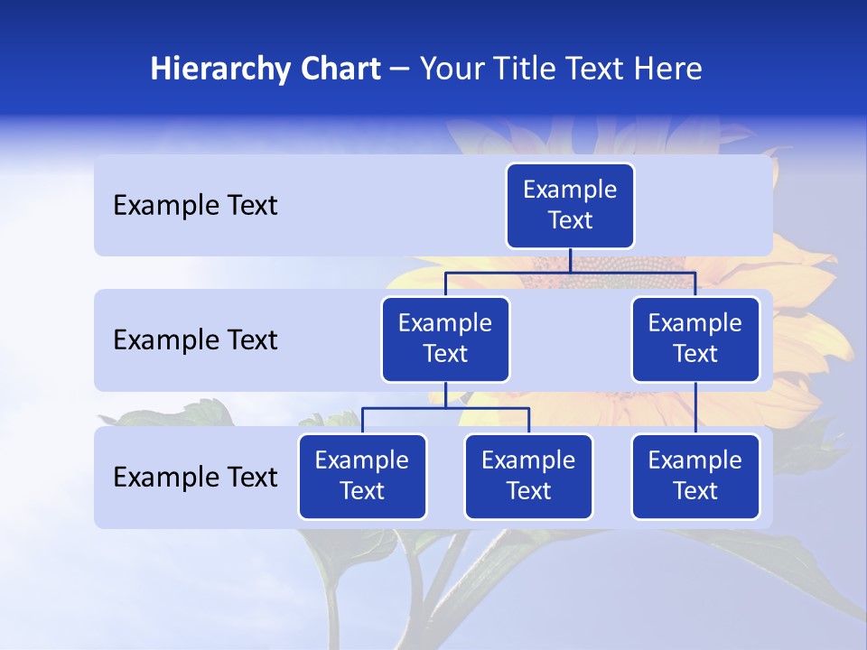 Sunflower Flower Grain PowerPoint Template