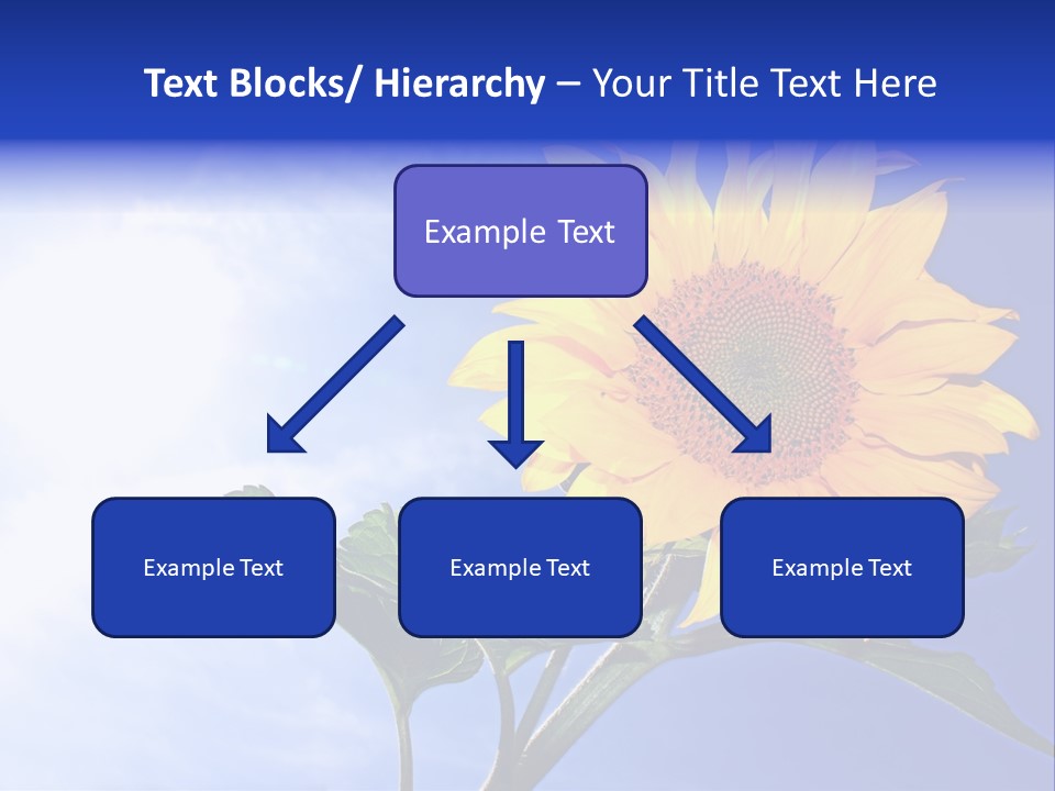 Sunflower Flower Grain PowerPoint Template