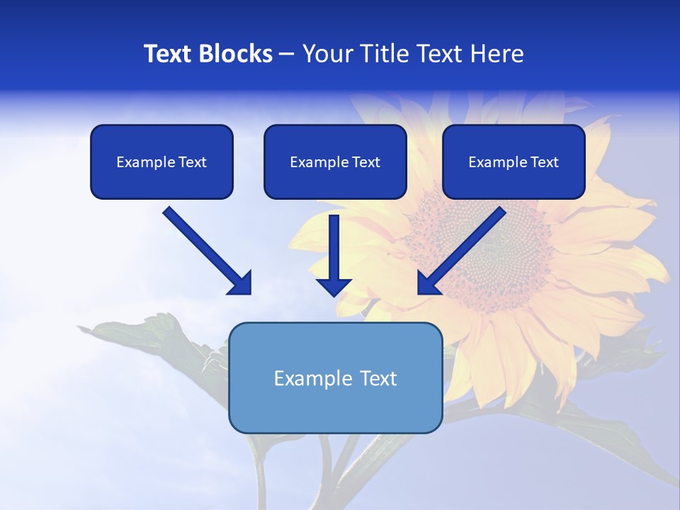 Sunflower Flower Grain PowerPoint Template