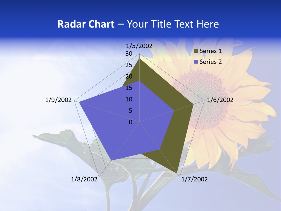 Sunflower Flower Grain PowerPoint Template