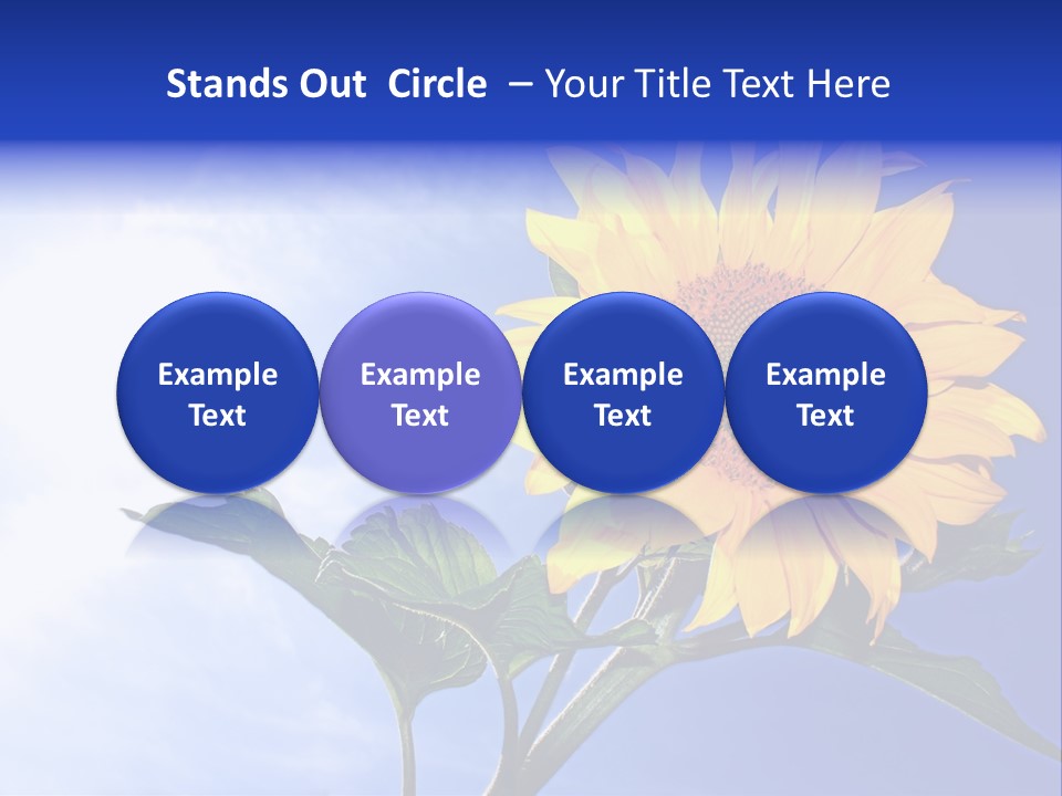 Sunflower Flower Grain PowerPoint Template