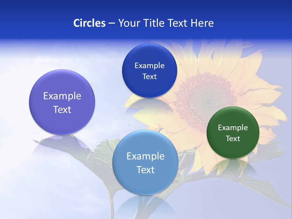 Sunflower Flower Grain PowerPoint Template