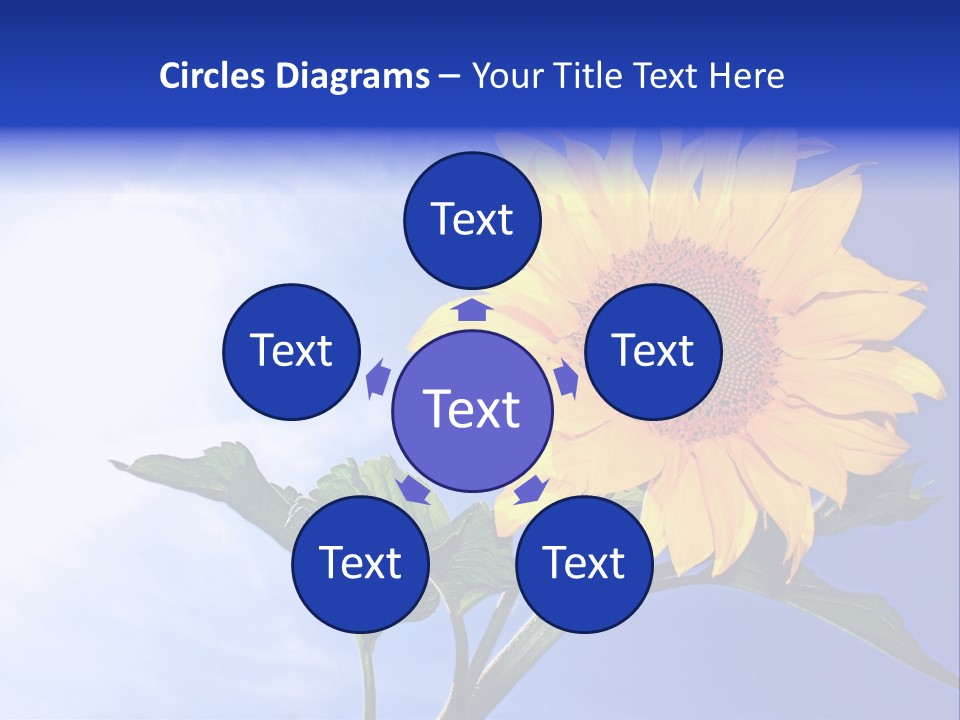 Sunflower Flower Grain PowerPoint Template