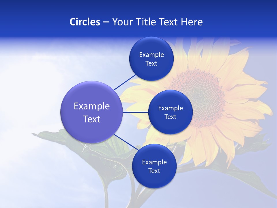 Sunflower Flower Grain PowerPoint Template