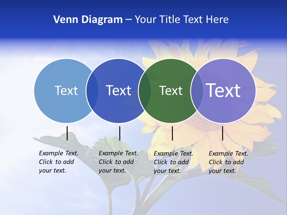 Sunflower Flower Grain PowerPoint Template