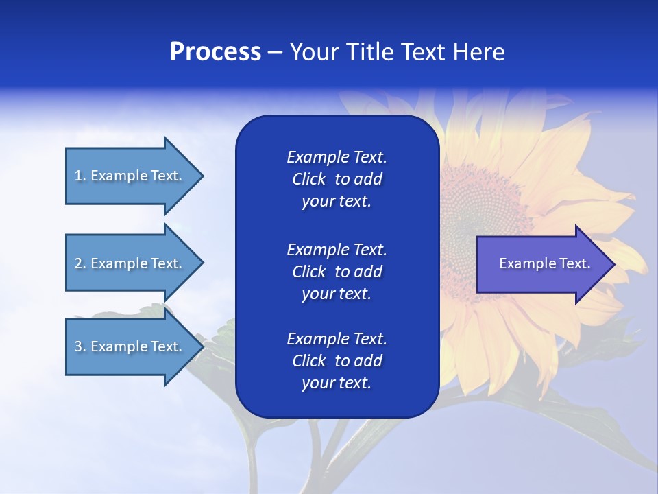Sunflower Flower Grain PowerPoint Template