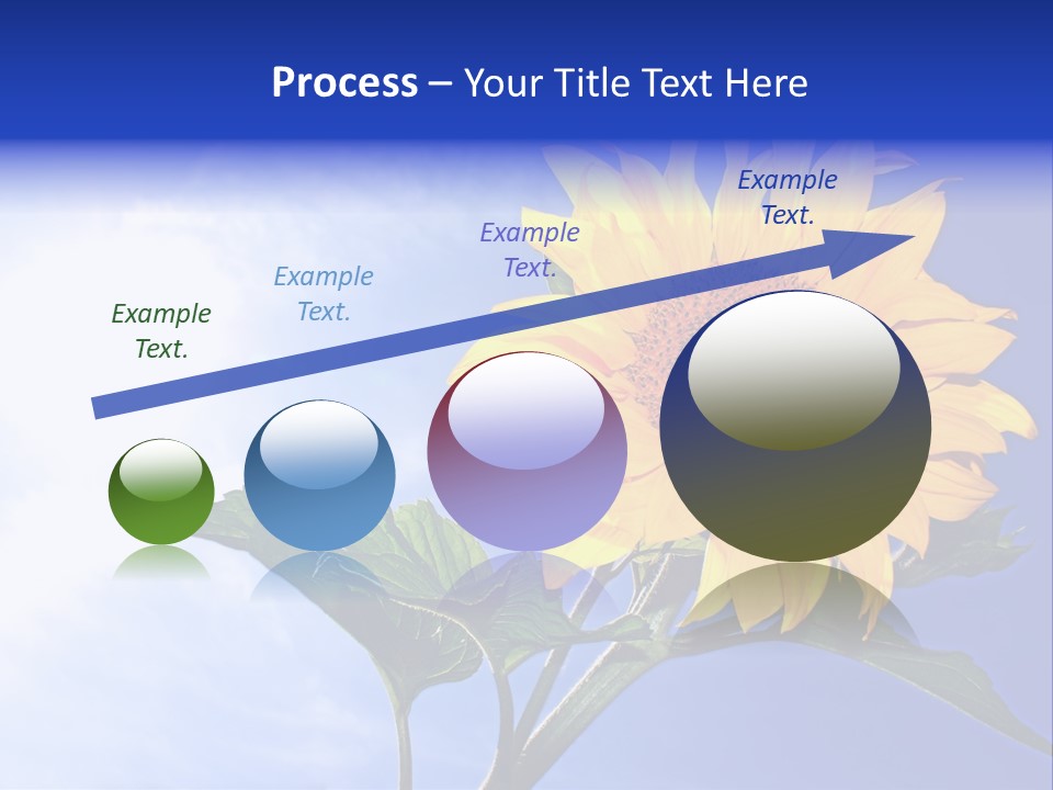 Sunflower Flower Grain PowerPoint Template
