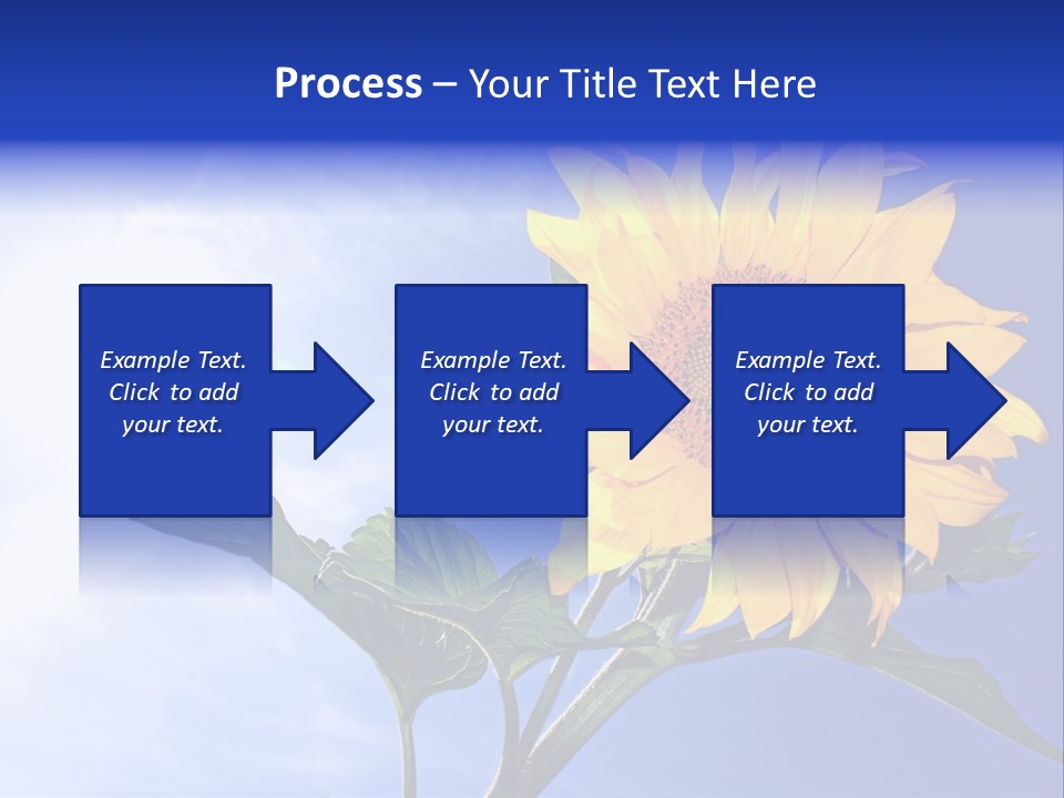 Sunflower Flower Grain PowerPoint Template