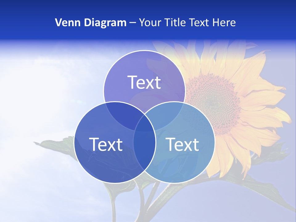 Sunflower Flower Grain PowerPoint Template