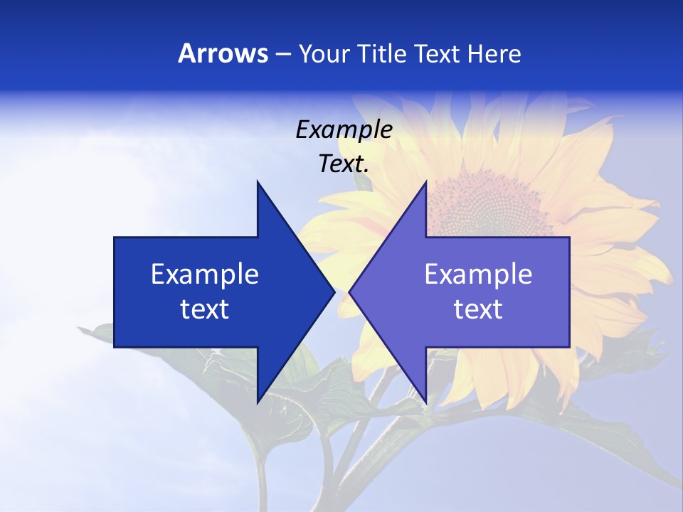 Sunflower Flower Grain PowerPoint Template