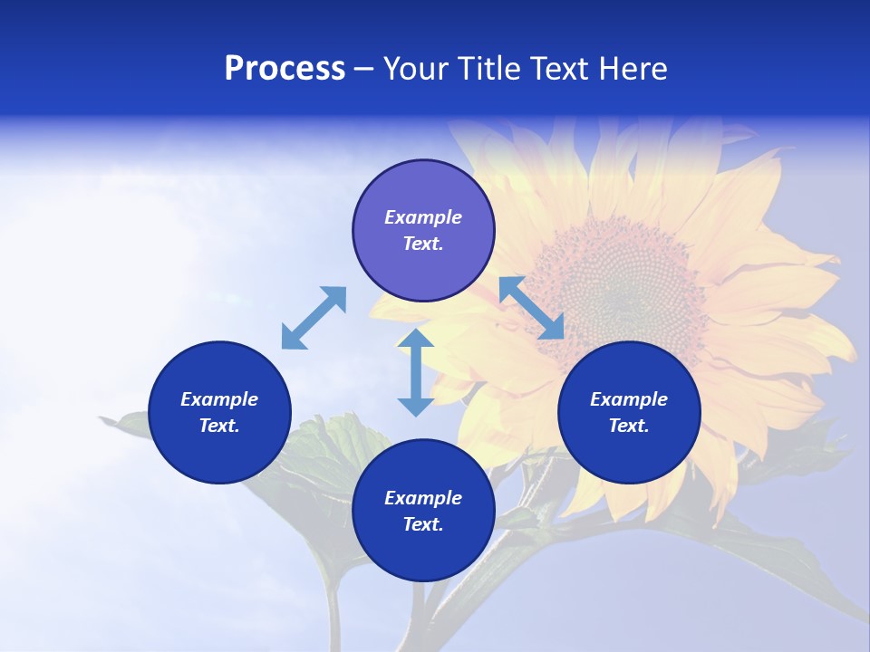 Sunflower Flower Grain PowerPoint Template