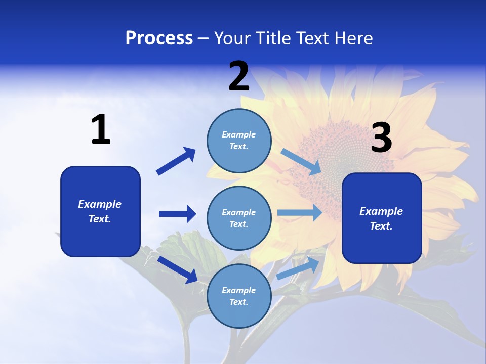 Sunflower Flower Grain PowerPoint Template