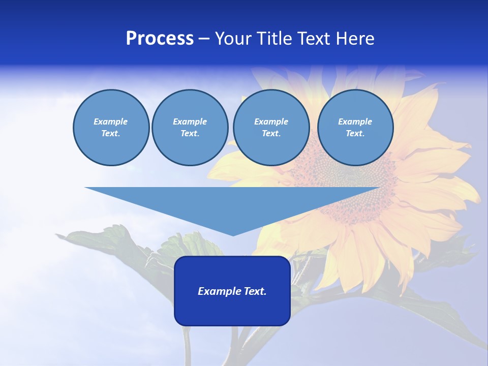 Sunflower Flower Grain PowerPoint Template