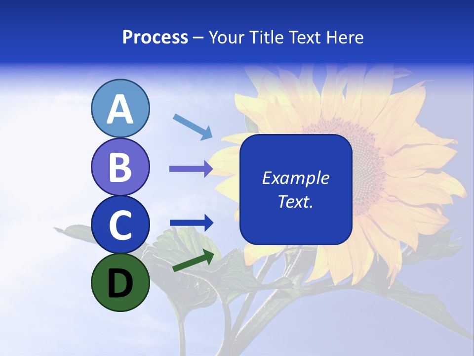 Sunflower Flower Grain PowerPoint Template