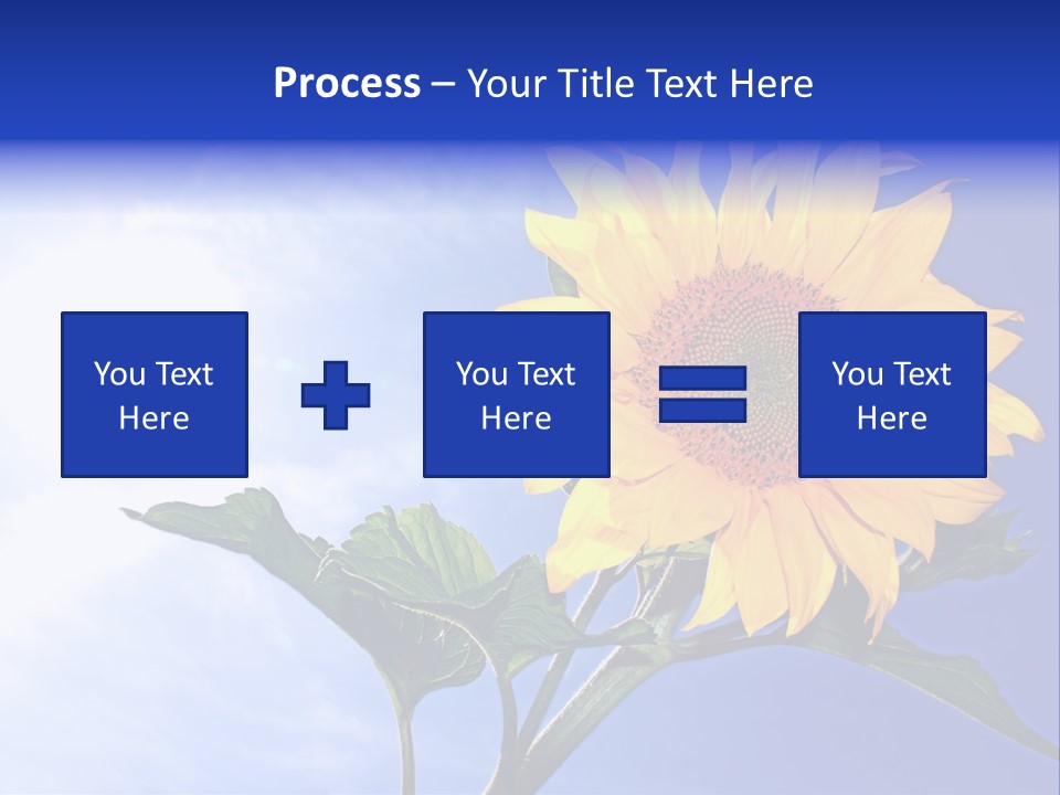 Sunflower Flower Grain PowerPoint Template