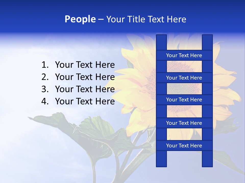 Sunflower Flower Grain PowerPoint Template