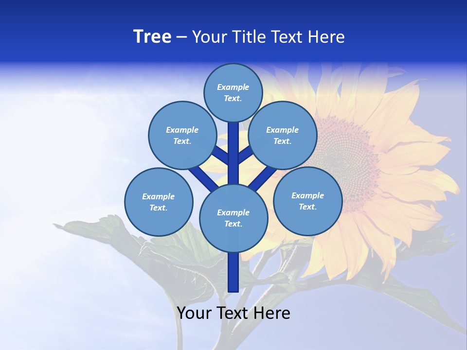Sunflower Flower Grain PowerPoint Template