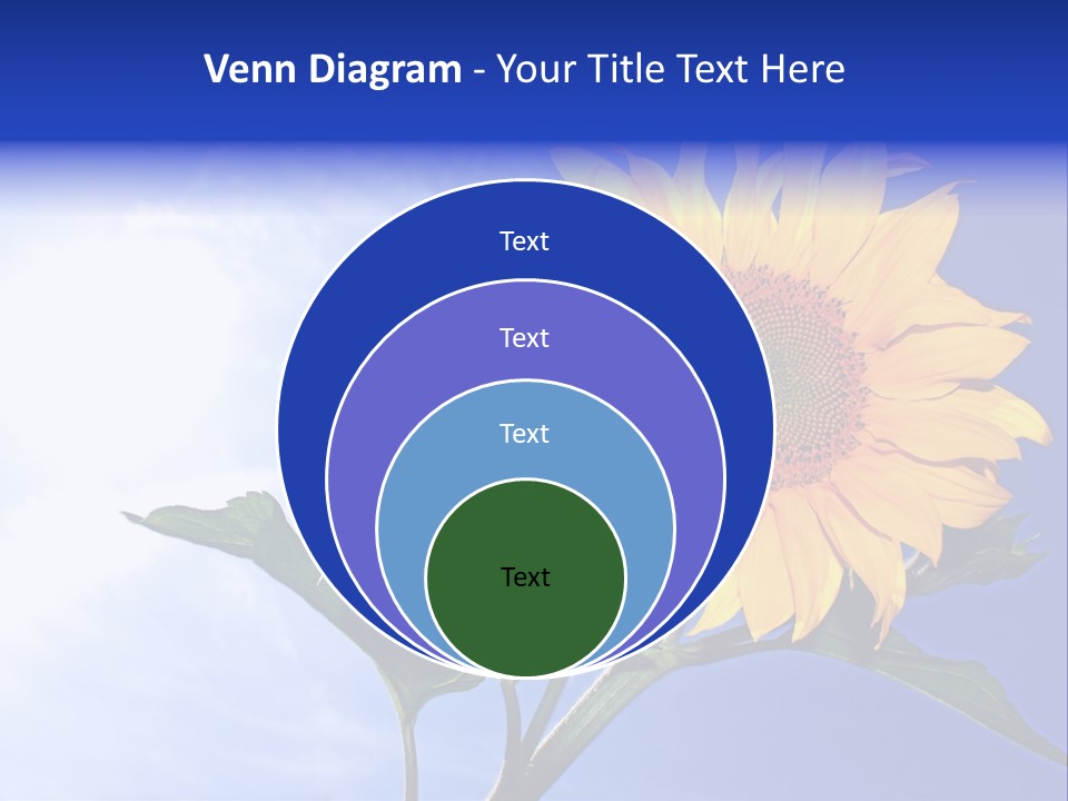 Sunflower Flower Grain PowerPoint Template