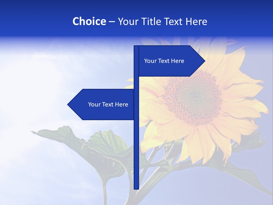 Sunflower Flower Grain PowerPoint Template