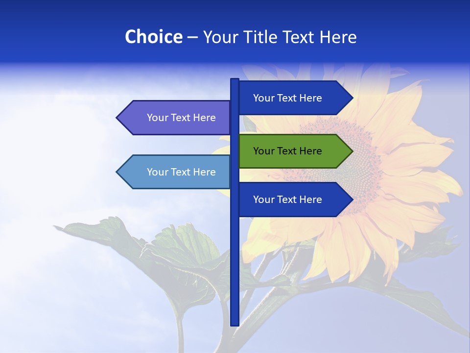 Sunflower Flower Grain PowerPoint Template
