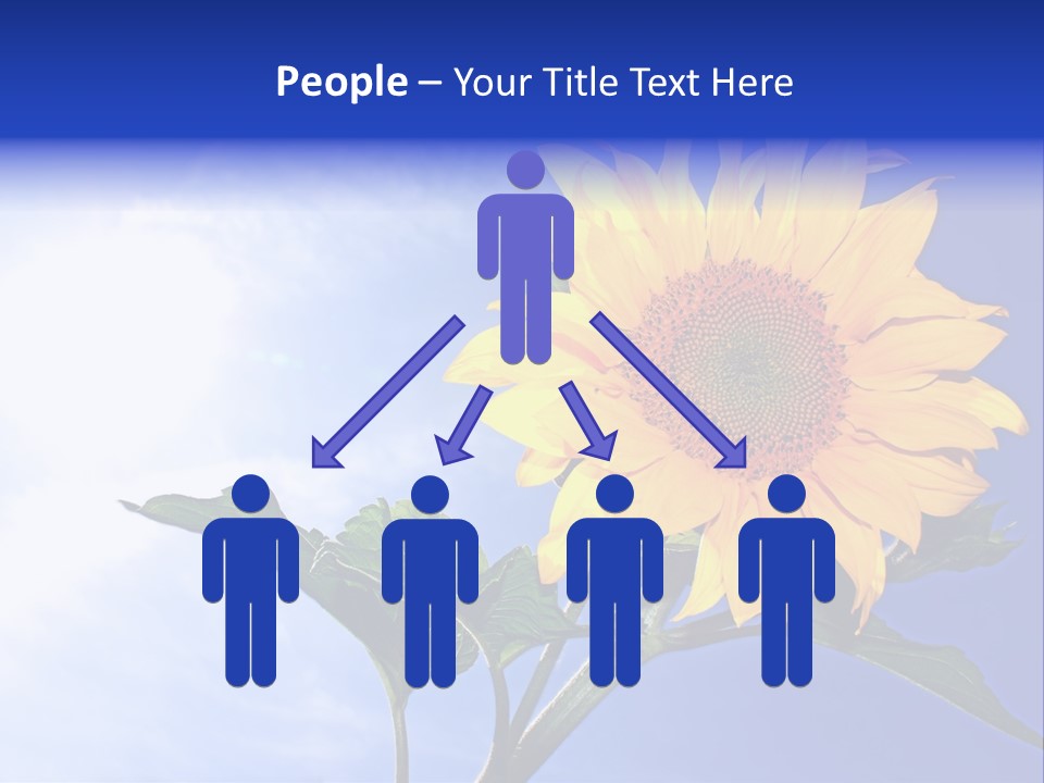 Sunflower Flower Grain PowerPoint Template