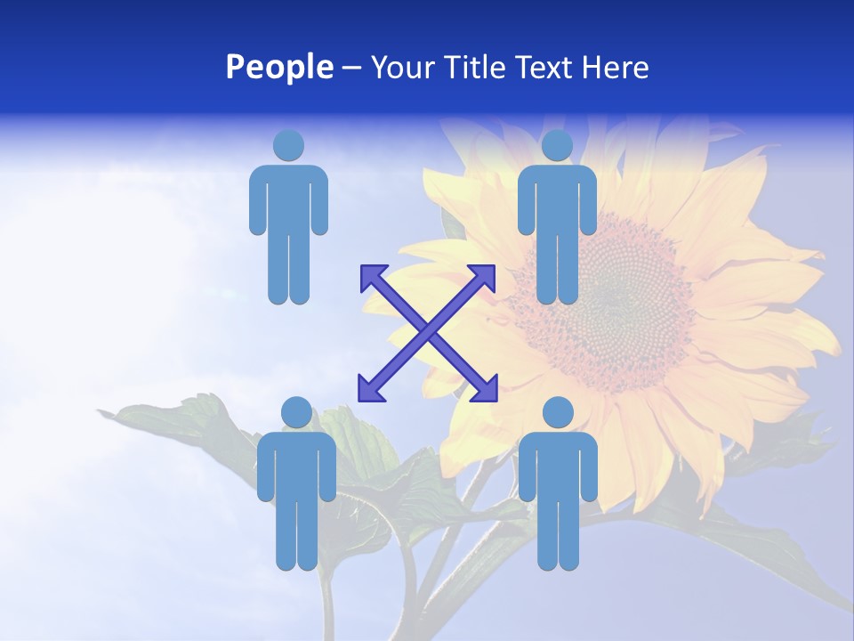 Sunflower Flower Grain PowerPoint Template