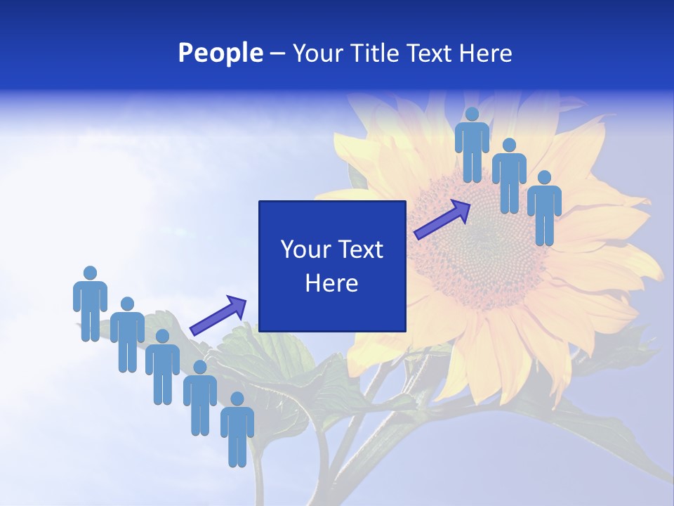 Sunflower Flower Grain PowerPoint Template