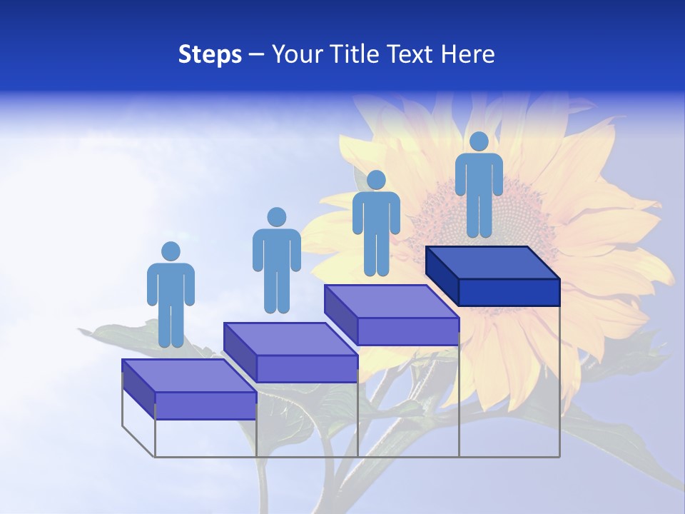 Sunflower Flower Grain PowerPoint Template