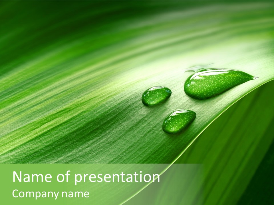 Botany Green Water PowerPoint Template