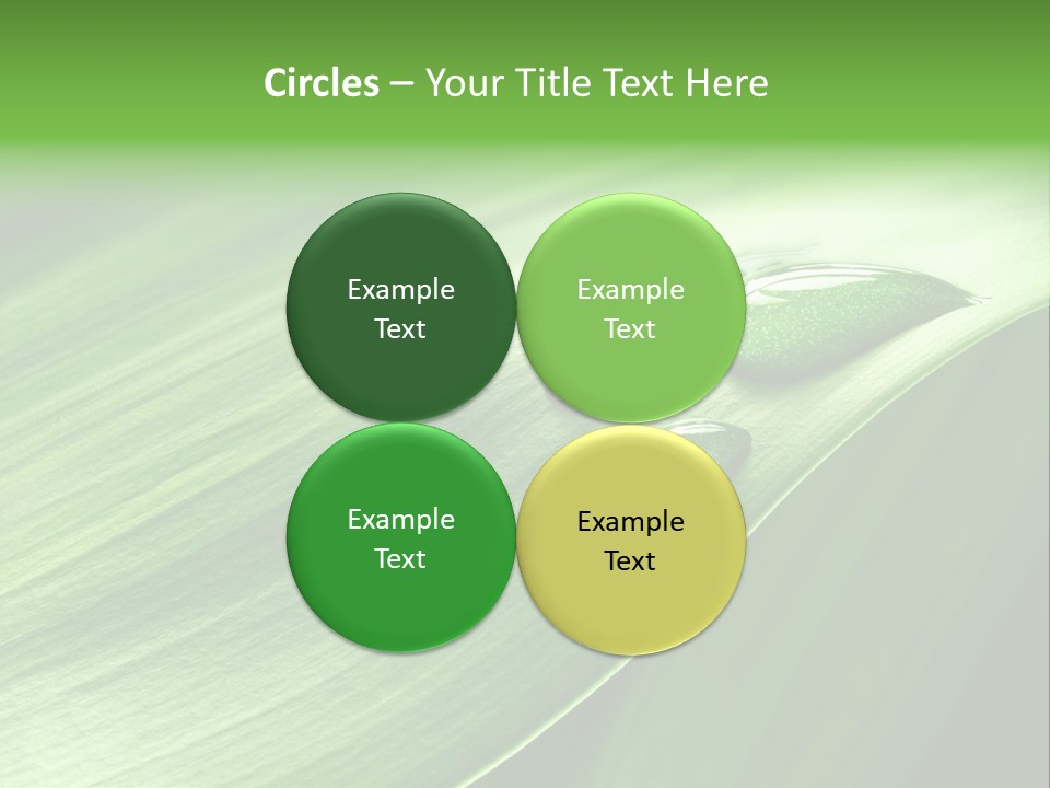 Botany Green Water PowerPoint Template