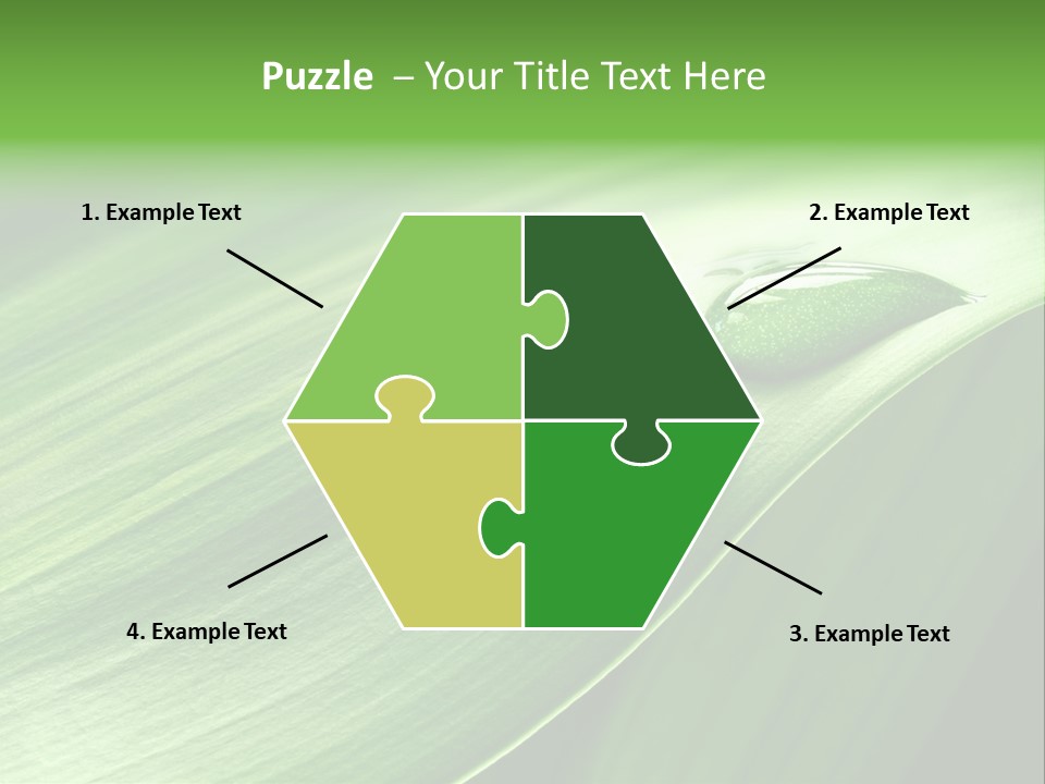 Botany Green Water PowerPoint Template