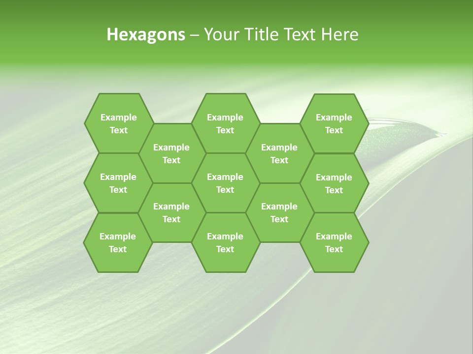 Botany Green Water PowerPoint Template