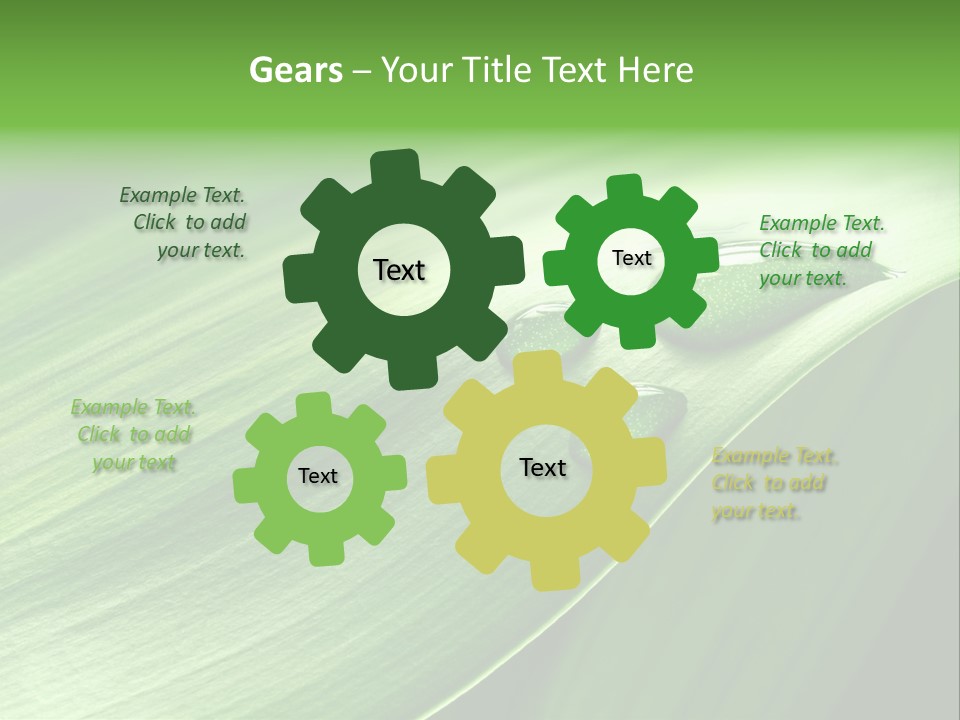 Botany Green Water PowerPoint Template