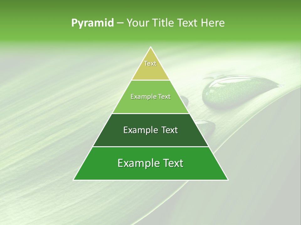 Botany Green Water PowerPoint Template