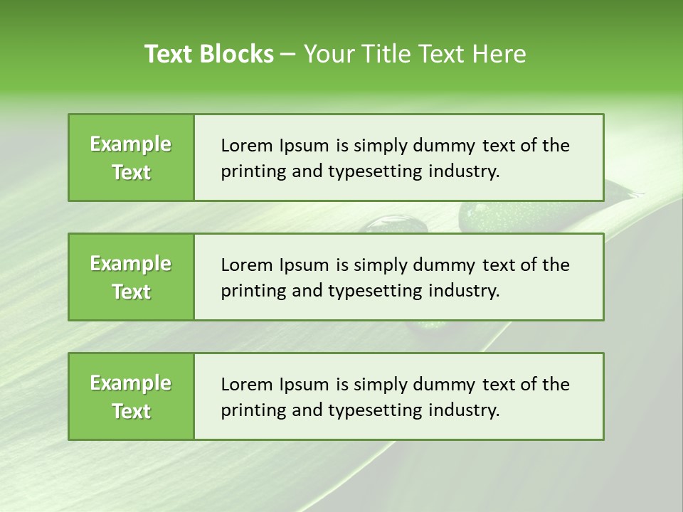 Botany Green Water PowerPoint Template