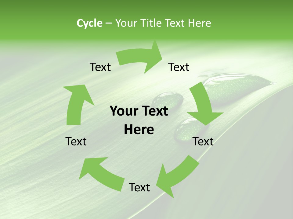 Botany Green Water PowerPoint Template