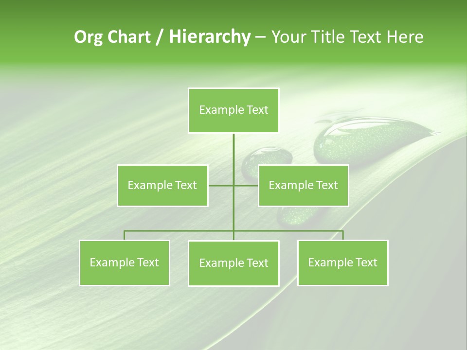 Botany Green Water PowerPoint Template