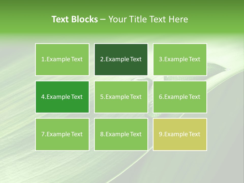 Botany Green Water PowerPoint Template
