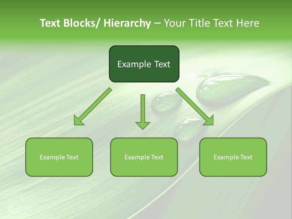 Botany Green Water PowerPoint Template