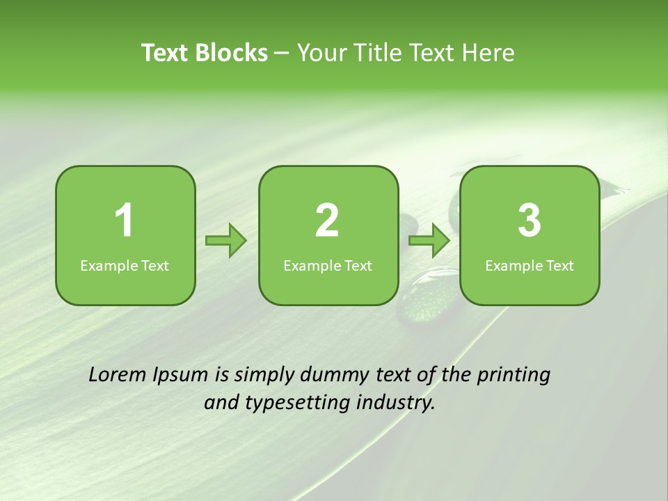 Botany Green Water PowerPoint Template