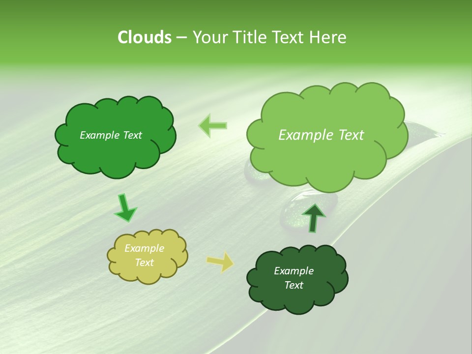 Botany Green Water PowerPoint Template