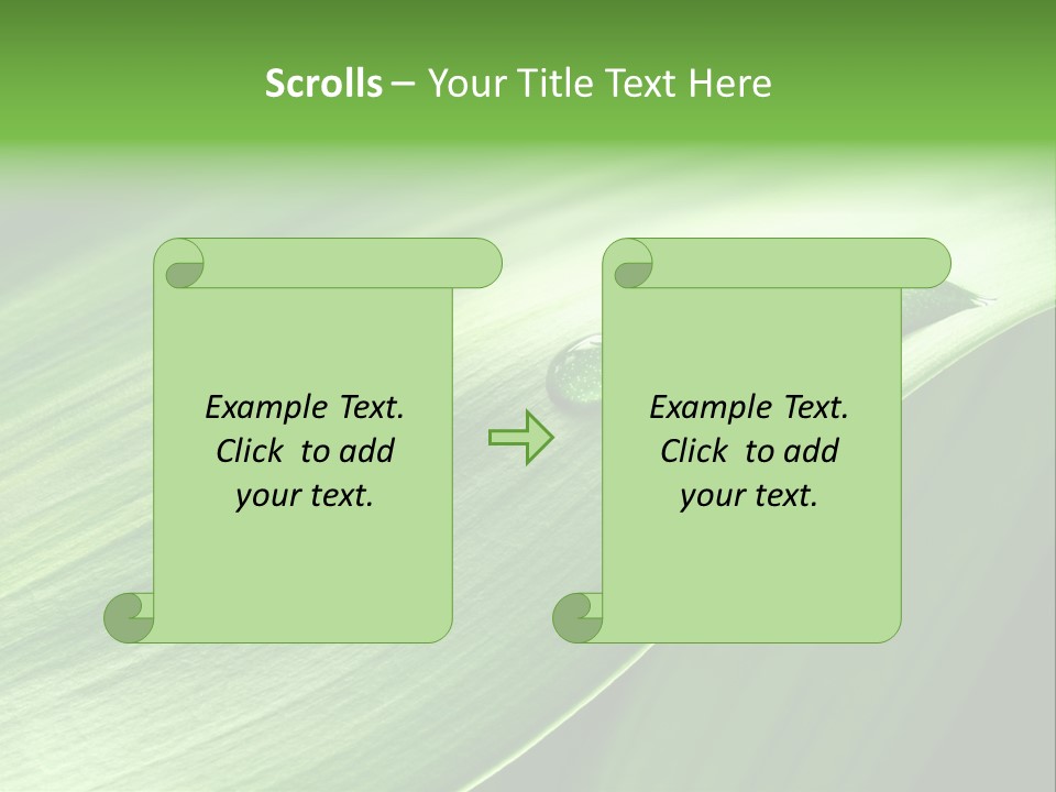 Botany Green Water PowerPoint Template