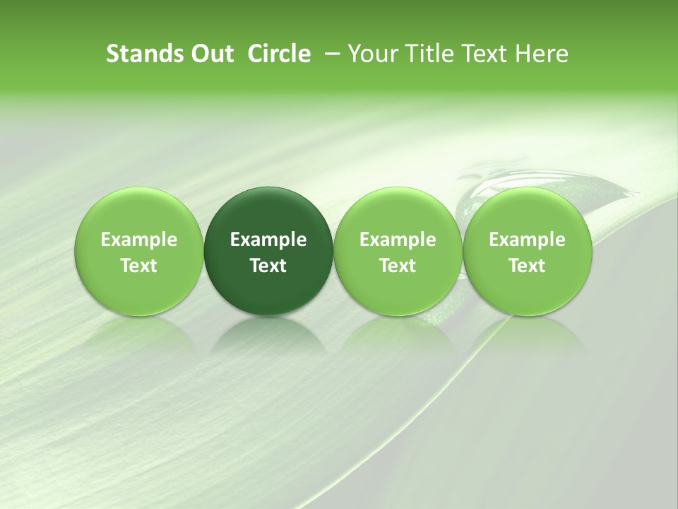 Botany Green Water PowerPoint Template