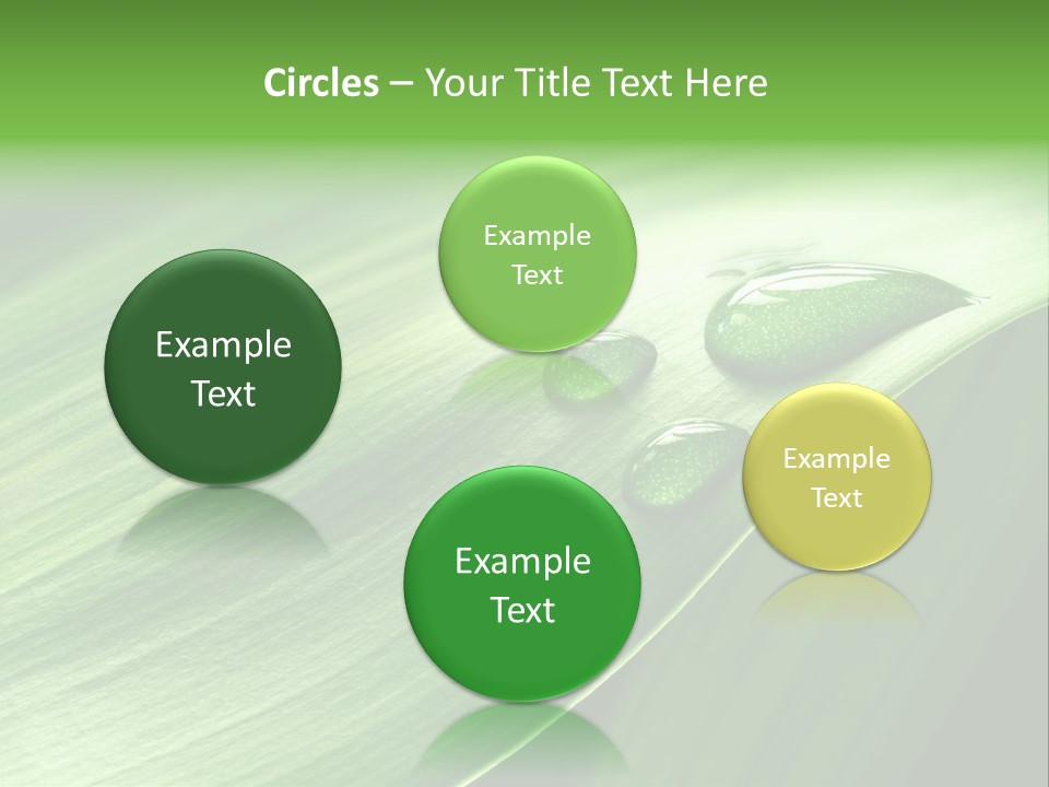 Botany Green Water PowerPoint Template