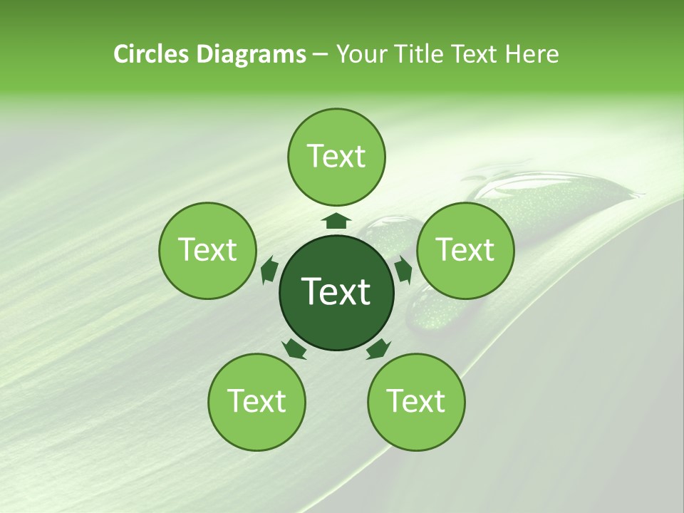 Botany Green Water PowerPoint Template