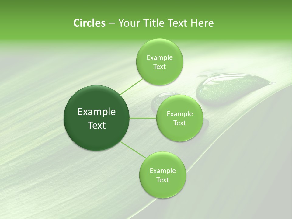 Botany Green Water PowerPoint Template