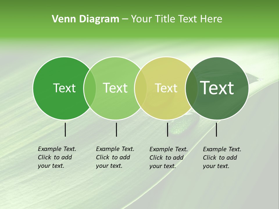 Botany Green Water PowerPoint Template