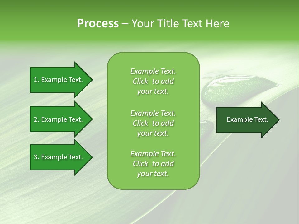Botany Green Water PowerPoint Template