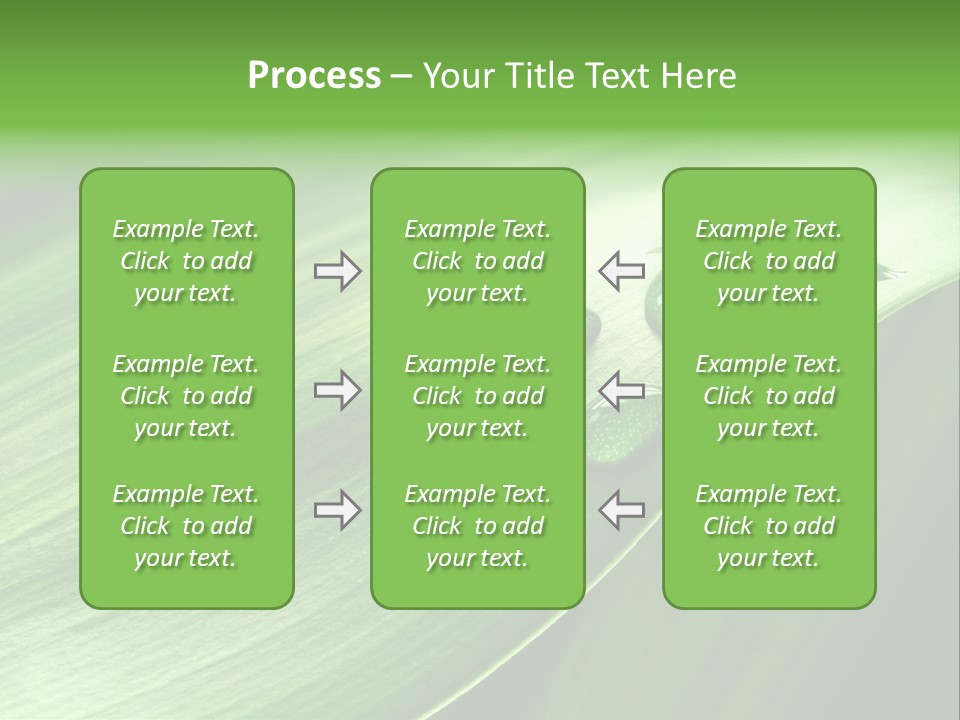 Botany Green Water PowerPoint Template